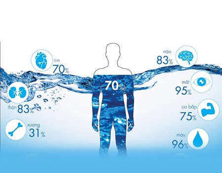 Làm thế nào để có nguồn nước tinh khiết